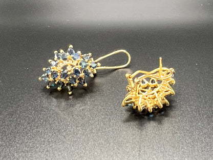 Firework Earrings