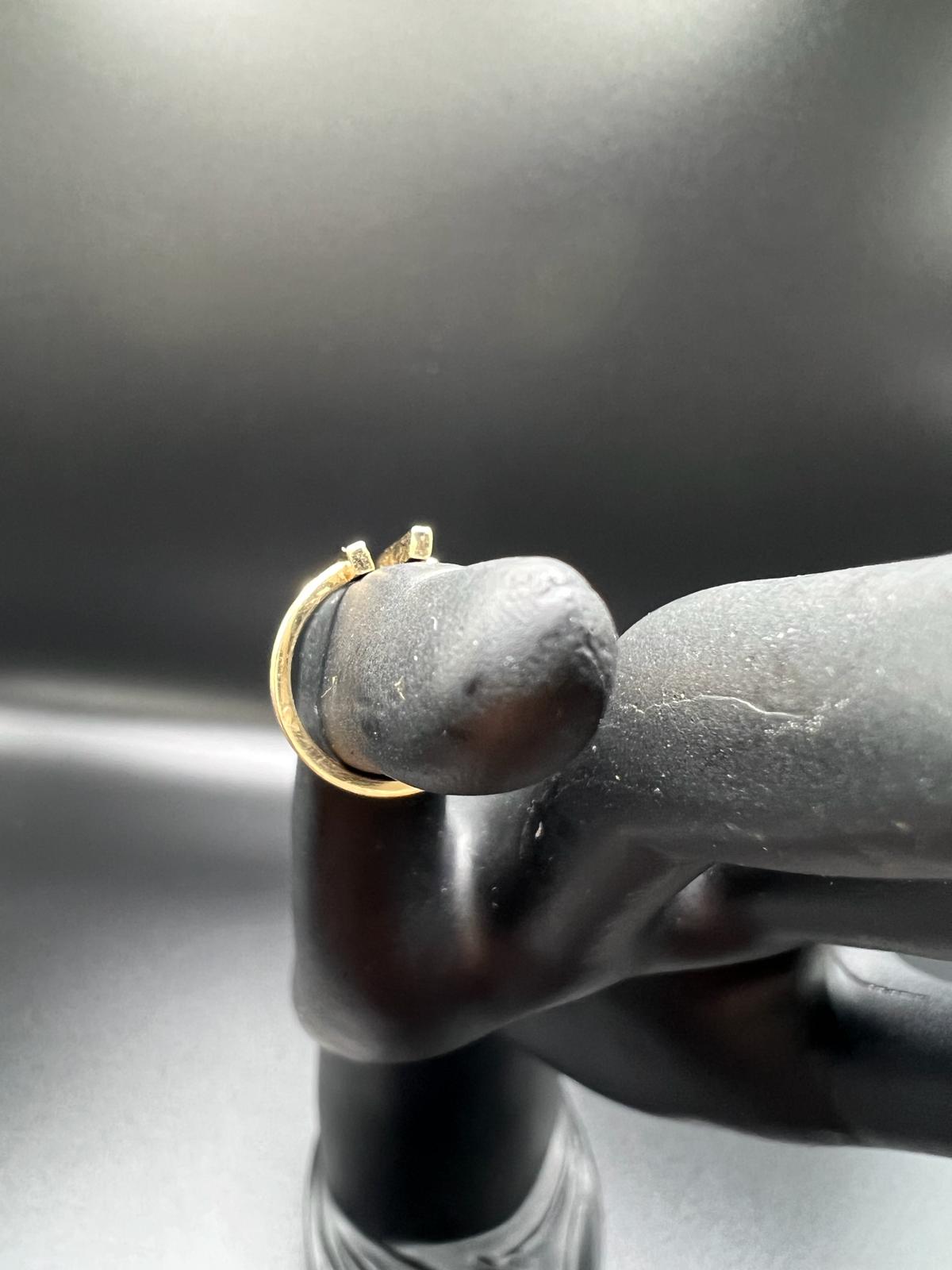 Dichotomy Ring